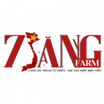 ẨM THỰC TÂY NINH|VƯỜN DÂU TẰM TÂY NINH|RƯỢU DÂU TÂY NINH|RƯỢU TÂY NINH