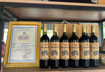 Rừng Dâu Tằm 7 Săng Tây Ninh: Thiên Đường "Sống Ảo" núi Bà Tây Ninh