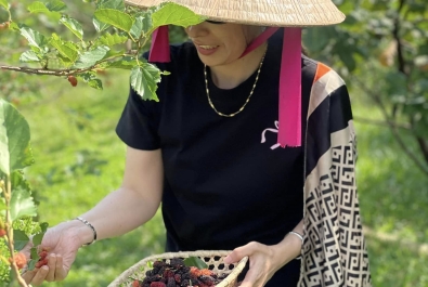 VƯỜN DÂU 7 SĂNG 