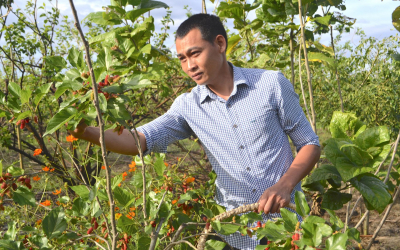 Hành trình phát triển thương hiệu                        7 Săng 