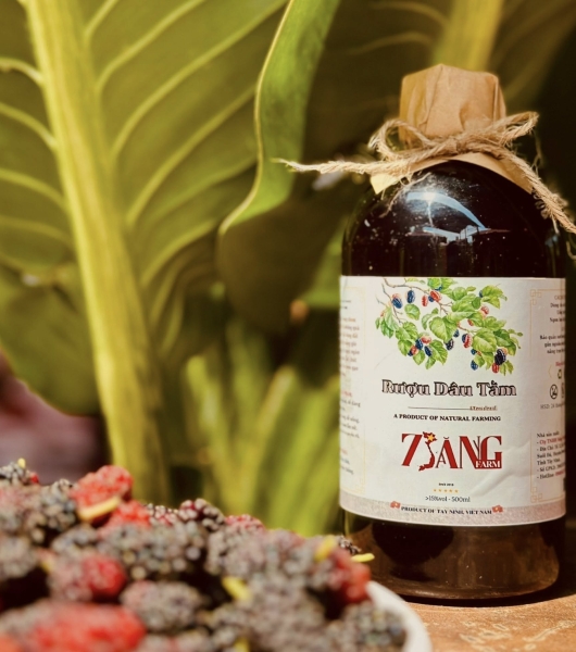 ẩm thực đặc sản tây ninh